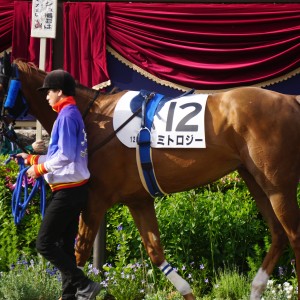 １２着だったとき