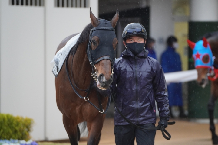 2023/3/18 韓国馬事会杯(3勝クラス) ブレイブメジャー
