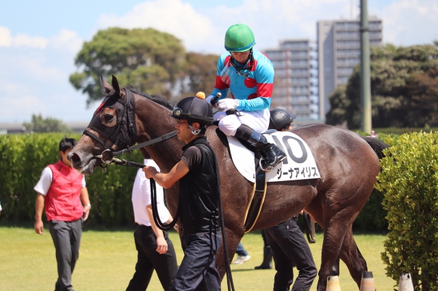 2歳 新馬戦 ジーナアイリス