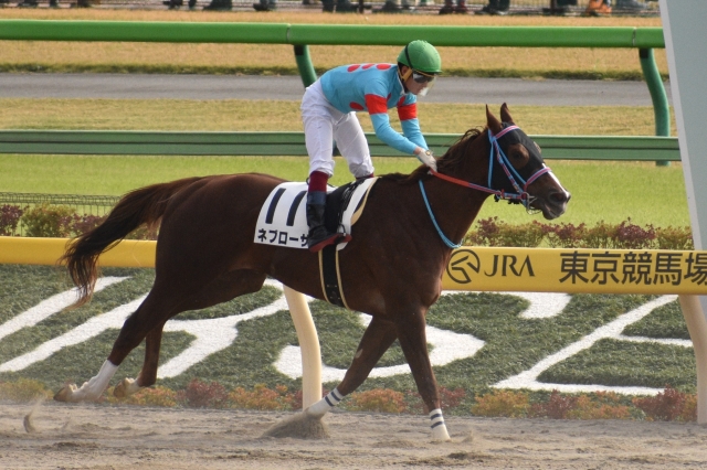新馬戦 ネブローザ