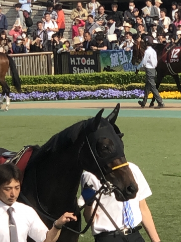 二人引き ウィクトーリア