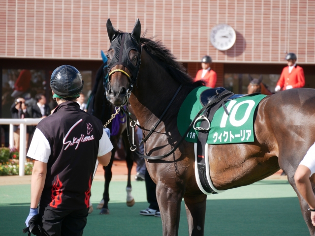 札幌2歳S　とまーれー ウィクトーリア