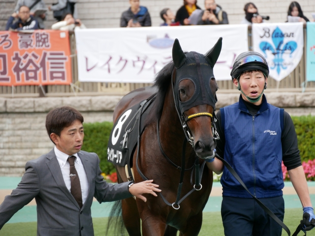 赤松賞　パドックにて ウィクトーリア