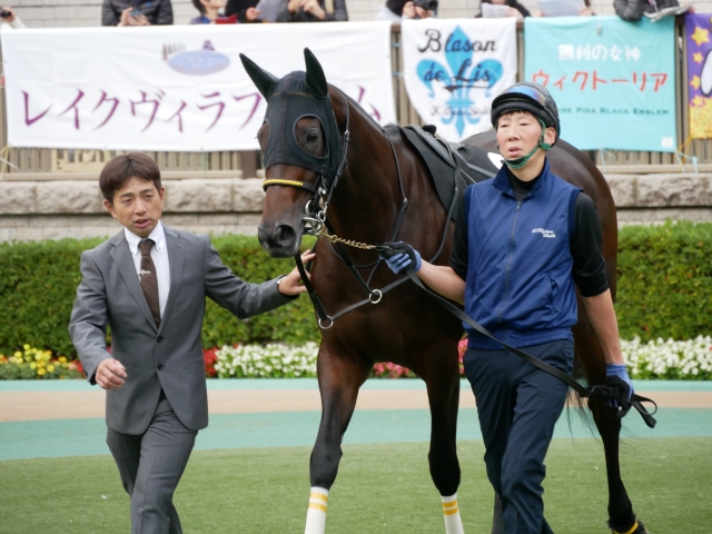 赤松賞　パドックにて ウィクトーリア