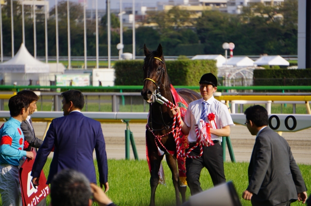 フローラS：勝利「キリッ」 ウィクトーリア