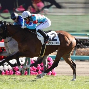 新馬戦　優勝！！