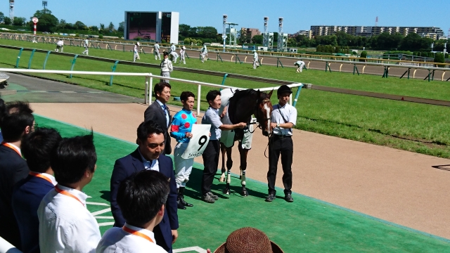 東京競馬場 スイートセント