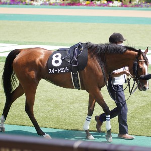 2021/6/12 芦ノ湖特別(2勝クラス)