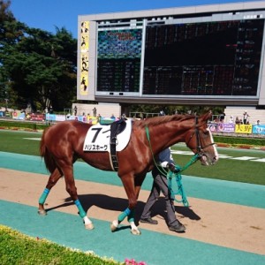 除外前の・・・