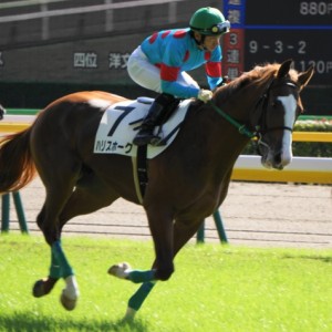 2018/10/21 2歳未勝利 本馬場入場