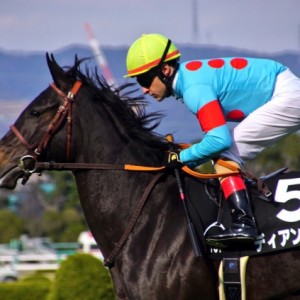 マーガレットステークス返し馬