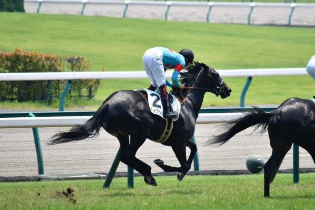 2018.07.15 新馬 ディアンドル