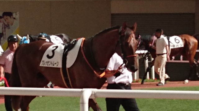 パドック① クレッセントムーン