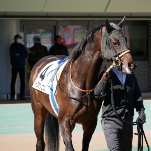 パドック周回中