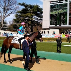 2020年2月22日東京競馬場