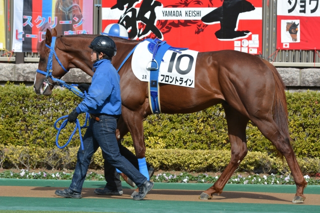 パドック騎乗前 フロントライン