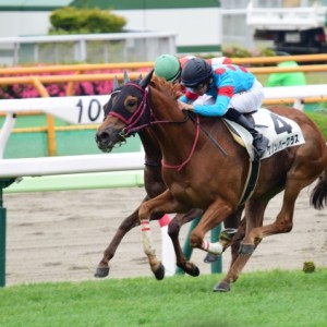 20190629_函館未勝利戦