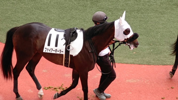 久々パドックでご対面するも⤵️⤵️ ファイアーボーラー