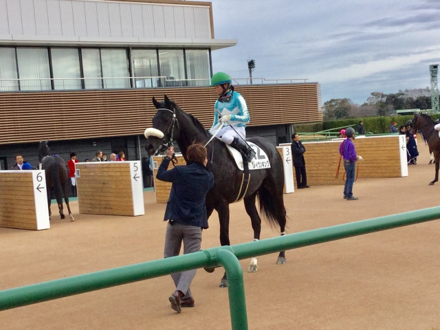 レース後 レイヴンキング