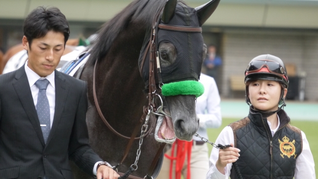 パドック グラウシュトラール