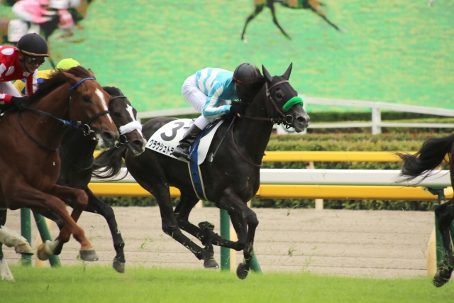 レース グラウシュトラール