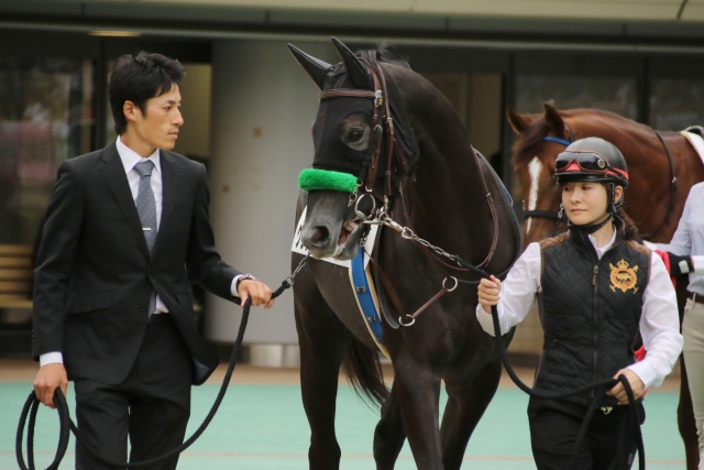 パドック グラウシュトラール