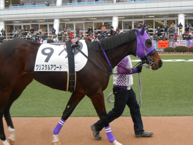 クリスタルアワード2019年始動！パドックその１ クリスタルアワード