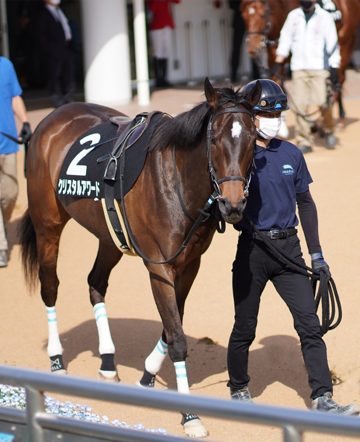 2021/4/3 葛飾特別(2勝クラス) クリスタルアワード