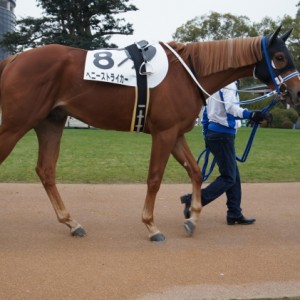 2019.01.12　デビュー