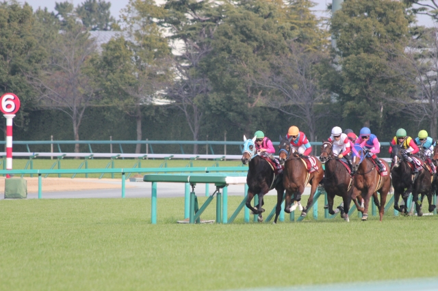 できるだけ4コーナーよりで オーパキャマラード