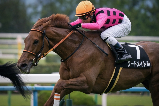 最後の直線 クードメイトル