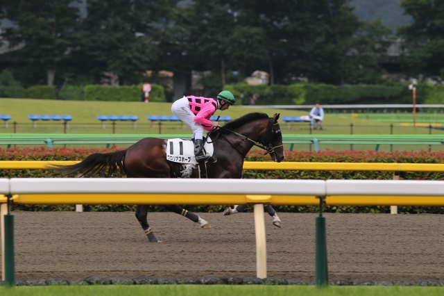 グロリアスホープ　未勝利戦返し馬 グロリアスホープ