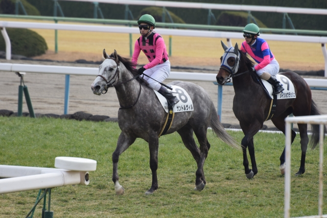 ３歳未勝利戦 レース後 サントルヴィル