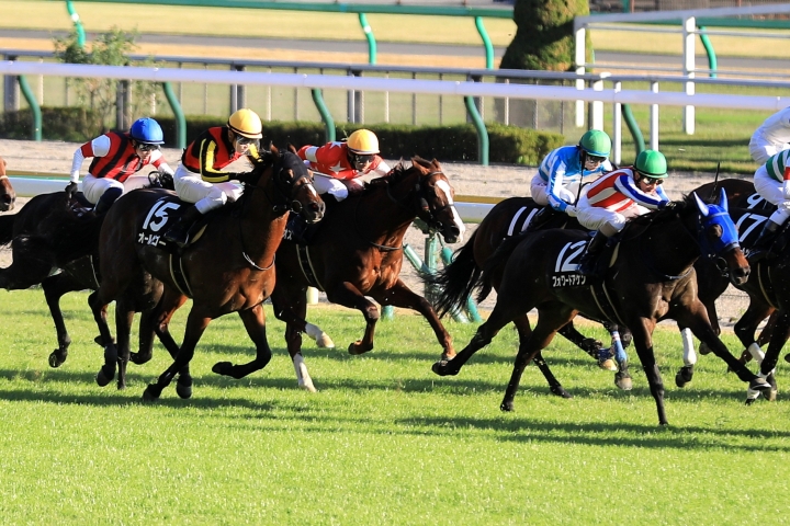 2021.11.13 東京10R 奥多摩S レッドクレオス