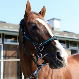 2019年5月 ミホ分場