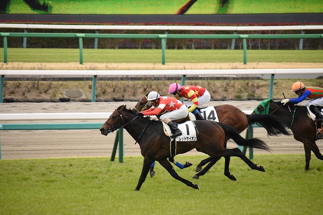 未勝利レース（直線）② レッドサイオン