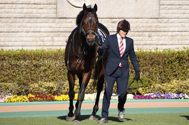 パドック① レッドサイオン