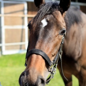 2019年5月 ミホ分場