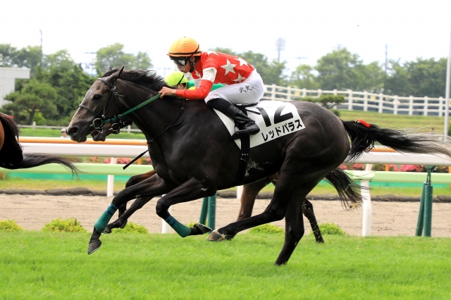 2019.7.7 函館7R 3歳以上1勝C レッドパラス