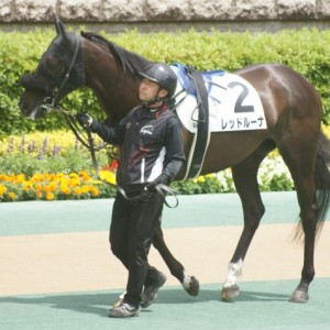 ３戦目パドック