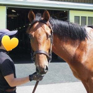 2歳7月末　牧場見学時２