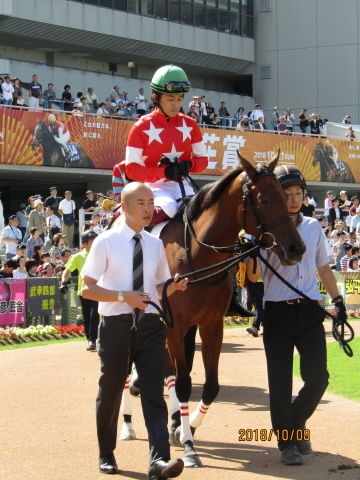 2018.10.08_2歳新馬戦_パドック(2) レッドベレーザ