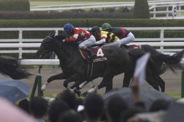 神戸新聞杯 レッドジェニアル