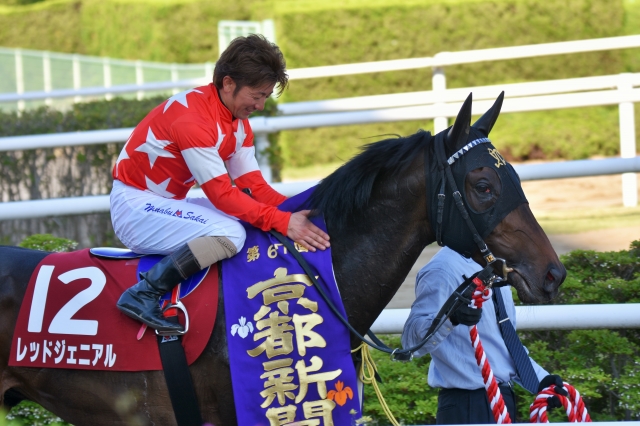 京都新聞杯～ウイナーズサークル レッドジェニアル