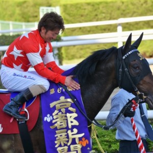 京都新聞杯～ウイナーズサークル