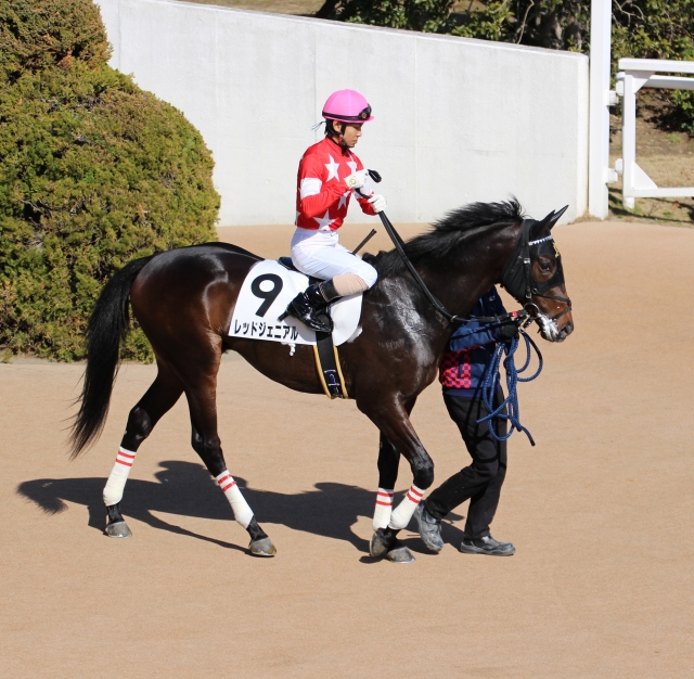 2戦目  レッドジェニアル