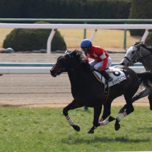 京都競馬場