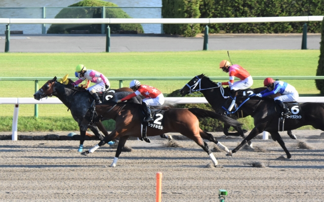 直線鮮やかに差し切る② レッドルゼル