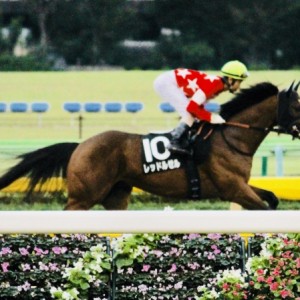 三峰山特別 返し馬