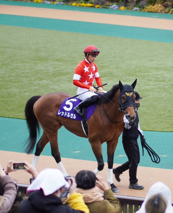 2022/2/20 フェブラリーS(G1) レッドルゼル